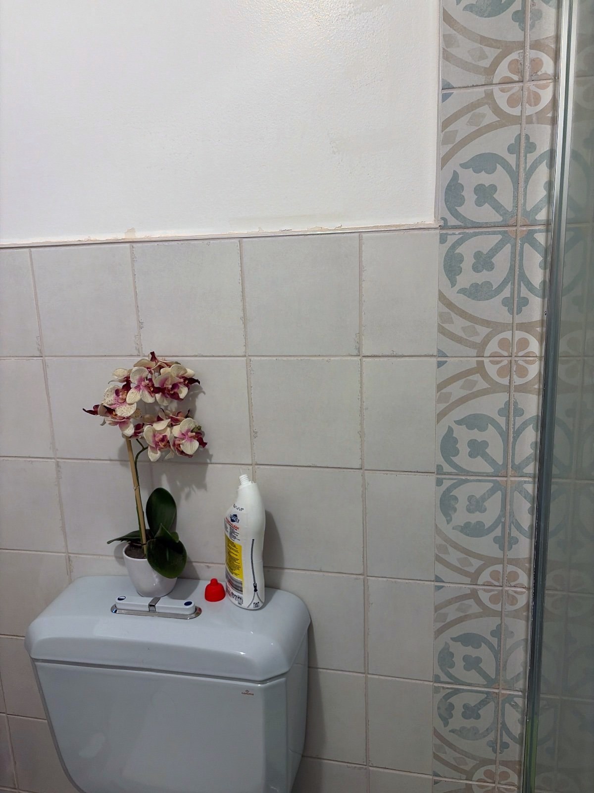 SRJR's Valencia Blanco Matt 200x200mm job